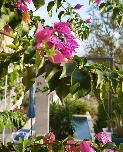 Vila Rita *