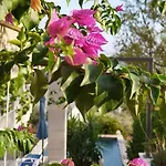 Villa Rita *